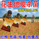 Receive and transport cat peanuts for heavy cropping, fertilizer, root rot and net nemesis, resist heavy cropping disease, prevent soil-borne dead seedlings, improve soil disinfection and conditioner, soil disinfection, 8 bags, improve quality and increase production