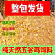 Directly sold by the pick-up cat manufacturer, 100 Jin Jin is equal to 0.5 kg. High-protein chicken, duck and goose feed, corn and wheat bran for fattening and laying eggs. Give back to fans (one day). 100 Jin Jin is equal to 0.5 kg (active)