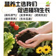Universal soil nutrient soil 100 Jin Jin is equal to 0.5 kg. General special flower soil for growing vegetables and flowers. Loose and breathable soil for seedlings. 200 Jin Jin is equal to 0.5 kg. Universal organic nutrient soil is Jin Jin is equal to 0.5 kg. Full compensation for damage. No odor. No insect eggs.