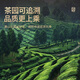 Zhenchashi Oolong Tea Wuyi Rock Tee Dahongpao Special 500g mittelfeuer Geschenkbox Wuyishan Zimt Tee Festival Geschenk