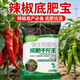 Hejiangnan pepper planting special soil improvement fertile soil rapid absorption of insect pests pepper base fertilizer treasure 5 bags can be used for 5 acres of land