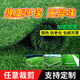 Renowned in Jiuzhou, simulated lawn carpet, fake turf bedding, plastic outdoor artificial court, artificial fence, artificial turf, 1 meter wide * 5 meters long, grass height 2 cm