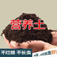Nutrient soil for flower cultivation, organic soil, succulent golden kudzu rose pot, general planting soil for flower soil, vegetable soil, horticulture ratio, special nutrient soil for green plant potting, 10 Jin Jin is equal to 0.5 kg