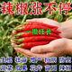 Hejiangnan pepper planting special soil improvement fertile soil rapid absorption of insect pests pepper base fertilizer treasure 5 bags can be used for 5 acres of land