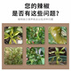 Hejiangnan pepper planting special soil improvement fertile soil rapid absorption of insect pests pepper base fertilizer treasure 5 bags can be used for 5 acres of land