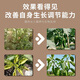 Hejiangnan pepper planting special soil improvement fertile soil rapid absorption of insect pests pepper base fertilizer treasure 5 bags can be used for 5 acres of land