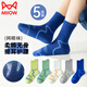 Catman Children's Socks Boys Summer Thin Student Mid-Tube Socks Boys Pure Cotton Breathable Sports Mesh Socks 2026 New Style Dancing Youth Mesh Sports Skin Friendly and Breathable 5 Pairs 3-5 Years Old (M) Recommended Foot Length 14-16cm