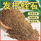 Vermiculite granules for cutting rose perlite flowers for turtle egg hatching special white vermiculite nutritious soil meaty large pavement bottom mixed with soil breathable red volcano 3-6mm 9.5Jin Jin is equal to 0.5 kg