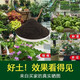 Nutrient soil for flower cultivation, organic soil, succulent golden kudzu rose pot, general planting soil for flower soil, vegetable soil, horticulture ratio, special nutrient soil for green plant potting, 10 Jin Jin is equal to 0.5 kg