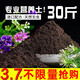 Nutrient soil for flower cultivation, organic soil, succulent golden kudzu rose pot, general planting soil for flower soil, vegetable soil, horticulture ratio, special nutrient soil for green plant potting, 10 Jin Jin is equal to 0.5 kg