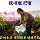 Hejiangnan pepper planting special soil improvement fertile soil rapid absorption of insect pests pepper base fertilizer treasure 5 bags can be used for 5 acres of land