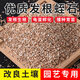 Vermiculite granules for cutting rose perlite flowers for turtle egg hatching special white vermiculite nutritious soil meaty large pavement bottom mixed with soil breathable red volcano 3-6mm 9.5Jin Jin is equal to 0.5 kg