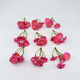 Yao Wan Xi Sen simulated small bunch of plastic flowers DIY straw hat decoration silk flowers fake flowers handmade garland material dried flowers rose red x2