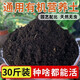 Nutrient soil for flower cultivation, organic soil, succulent golden kudzu rose pot, general planting soil for flower soil, vegetable soil, horticulture ratio, special nutrient soil for green plant potting, 10 Jin Jin is equal to 0.5 kg