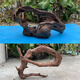 Pisholding Landscaping 80-100 cm Large grande plate-forme de tortue de type pont arc rampant des crevettes pour éviter