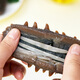 Haiyantang Dalian frozen ready-to-eat sea cucumber 1 Jin Jin is equal to 0.5 kg, 10-12 pieces, Liao sea cucumber seafood and aquatic products nourishing New Year gift box
