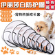 Dog and cat collar headgear, anti-licking shame circle, neutered Elizabeth cat supplies, No. 7 suitable for kittens under 3 months old