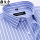 GY Yager pure cotton short-sleeved shirt men's business formal wear casual loose work work clothes without ironing men's shirt DX6636 41