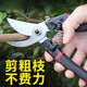 修剪树枝剪刀强力粗枝剪省力家用SK5钢园林园艺剪刀果树工具剪刀 14116不锈钢修枝剪(单把)