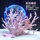 Han Chang Hexagonal Dinosaur Fish Hideaway Decorated Fish Tank Landscaping Turtle Breeding Newt Pet Fish Ornamental Ornament Pink Coral