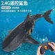 Tiburón de control remoto submarino con cámara para influir en el modelo Megalodon Model Electric Children's Toys for Men. Control remoto de la aplicación mecánica azul + cámara. Estándar equipado con un conjunto de baterías