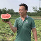 Zhongke Maohua melon and fruit seeds Zhongke Bingqilin watermelon seed improved 8424 Jingxin type replaces Meidu watermelon variety with crack resistance Zhongke Bingqilin 1000 capsules/box one acre package