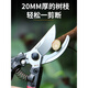 修剪树枝剪刀强力粗枝剪省力家用SK5钢园林园艺剪刀果树工具剪刀 14116不锈钢修枝剪(单把)