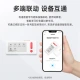 NetEase Youdao electronic word card M3 English word card back word artifact ink screen electronic dictionary word memory artifact college entrance examination learning English four or six postgraduate entrance examination artifact