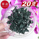 Support de plante Fanyi Support B1zo Flower Flower Flower Phalaenopsis Support Stand Modeling Support Vines et Fleurs Plante Plant Plant Support de fer [40 cm] 10 + 10 Clips fixes