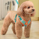 Vest type dog leash medium small dog Teddy Bichon Pomeranian harness puppy dog walking rope dog chain orange + 1.5 meter flat rope M (recommended 6-13 Jin Jin equals 0.5 kg)