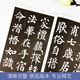 Ink dot copybook Tang Yan Zhenqing Duobao Pagoda original copy Yan style regular script brush calligraphy copybook Beginner entry-level elementary school students adult self-study entry copy copy template training class practical book brush calligraphy
