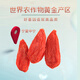 Ningxia Wolfberry, Red Wolfberry, erstes neues Produkt, Zhongning Wolfberry Tea, Gouqi -Tee, Spezialklasse 250G*2 Dosen