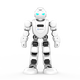 UBL Alpha Ebot Wukong AI intelligent robot early childhood education machine toy programmable age 6-12 years old can translate English to accompany children learning machine story machine boy and girl gift

