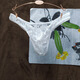 Long Night Adult Men's Erotic Underwear Abnormal Lace Transparent Thong Thin Sexy Interesting White L