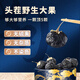 Chuangdi Wild Black Wolfberry Geschenkbox Qinghai Gesundheitsschutz Geschenk an Eltern und Älteste siehe Eltern 300g