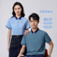 续印冰丝透气速干polo衫定制T恤工作服夏季企业团队文化衫短袖印logo NS-9902短袖 浅蓝 2XL