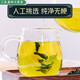 Beijing Tongrentang [Vendido directamente en farmacia] Gynostemum Blue No Wild especial Xinjiang té Qingqian Liupingli Medicina tradicional china Robu l [1 Can] Gynostemum Azul (250 g)