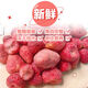 Food Huai South Korea Nandamen Old Grandpa Freeze-dried strawberry dried fruit crisp office casual snacks to satisfy his cravings Old Grandpa Dried strawberry 160g*1
