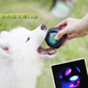 Ravipet Dog Toy Ball Luminous Sound Dog Teething Toy Golden Retriever Corgi Toy Teddy Border Collie Toy Small Dog Luminous Sound Ball