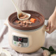 Bear Electric Stew Pot Electric Stew Cup Purple Clay Liner Ceramic Household Fully Automatic Porridge and Soup Pot Electric Casserole Large Capacity 3LDDG-D30A1