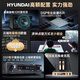 Hyundai Modernes Heimkino-Gesangsmaschine KTV Audio Set High-Power-Verstärker Karaoke Home Singing Equipment Wohnzimmer Konferenzraumkartenpaket Lautsprecher [Professionelle Version] 10-Zoll-Audio-Gesangsmaschine + 10-Zoll-Subwoofer