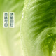 
[Plateau Summer Vegetable] Zhonglingshan Roman Lettuce 400g