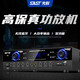 先科会议室音响设备全套家庭KTV演讲培训背景音乐套装 蓝牙功放壁挂音箱无线麦克风 W8-1 8吋超薄套装+双手持麦克风