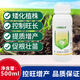 Xiaokang Chuangfeng Fengmeipinium Fruit, Vegetable, Wheat Pesticide Plant Growth Regulator 1 bottle*500g