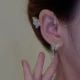 SHUFEN Zircon Butterfly Tassel Earrings No Ear Holes Advanced Sense Small Design Light Luxury Ear Bone Clip Fairy Ear Clip Earrings Female B5X501 Golden Zircon Butterfly Tassel Earhang Right Ear/Single