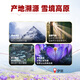 Weishuihong Saffron Gift Box 5G Специальная оценка [День отца] Практические подарки для отправки родителей и старейшин навестить родственников к родителям