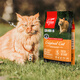 Orijen's extra American version of Desire Chicken Cat Food for adult cats and kittens, grain-free and gill-free imported cat food 5.4kg, early adopter pack, Desire Love Cat Chicken Cat Food 1.8k 0kg _The details are subject to the photo taken