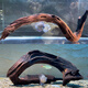 Pisholding Landscaping 80-100 cm Large grande plate-forme de tortue de type pont arc rampant des crevettes pour éviter