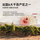 派斯顿（PASSTON）法国进口洋酒XO白兰地40°烈酒 钻石 原酒进口  微醺送礼聚餐调酒 700mL 1瓶