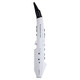 
Roland (Roland) hair tube AE01C comes with sound source speaker recorder fingering method electronic wind instrument for beginners AE01C+carrying bag+charging set+headphone gift bag